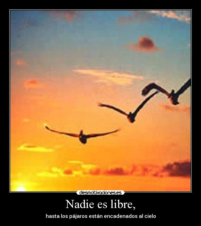 carteles albiitaloveyou desmotivaciones