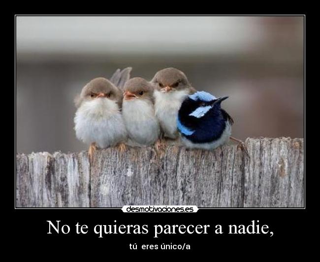 No te quieras parecer a nadie, -