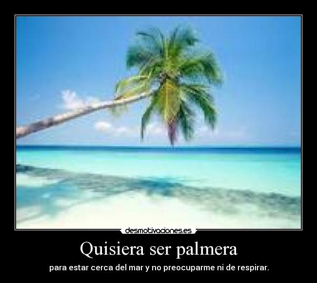 carteles raydu desmotivaciones