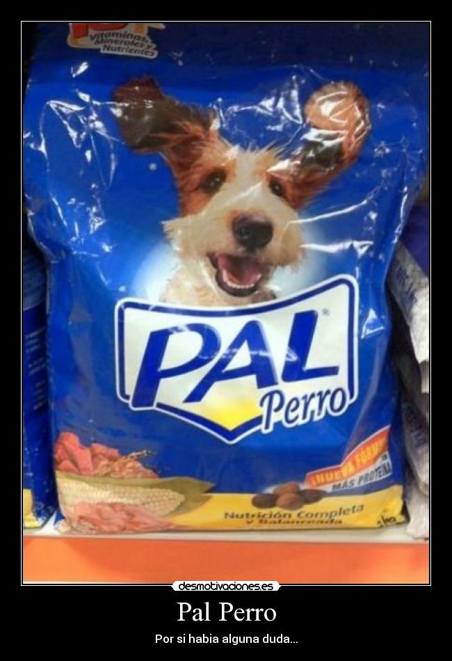 Pal Perro - Por si habia alguna duda...