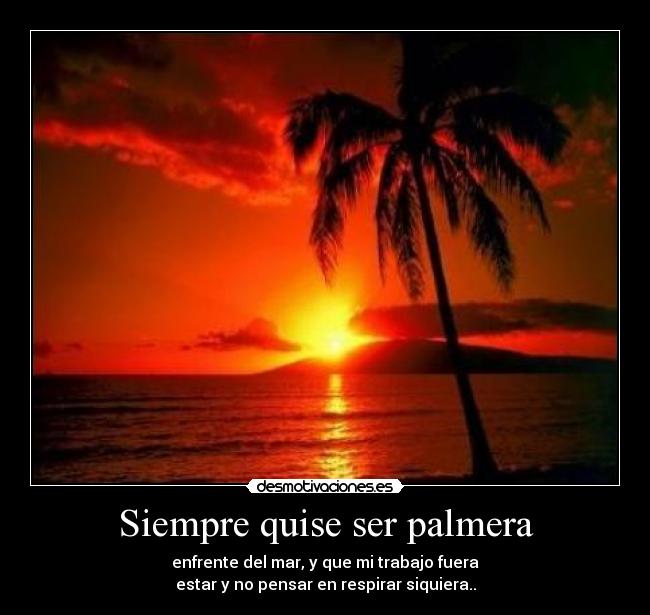 Siempre quise ser palmera -