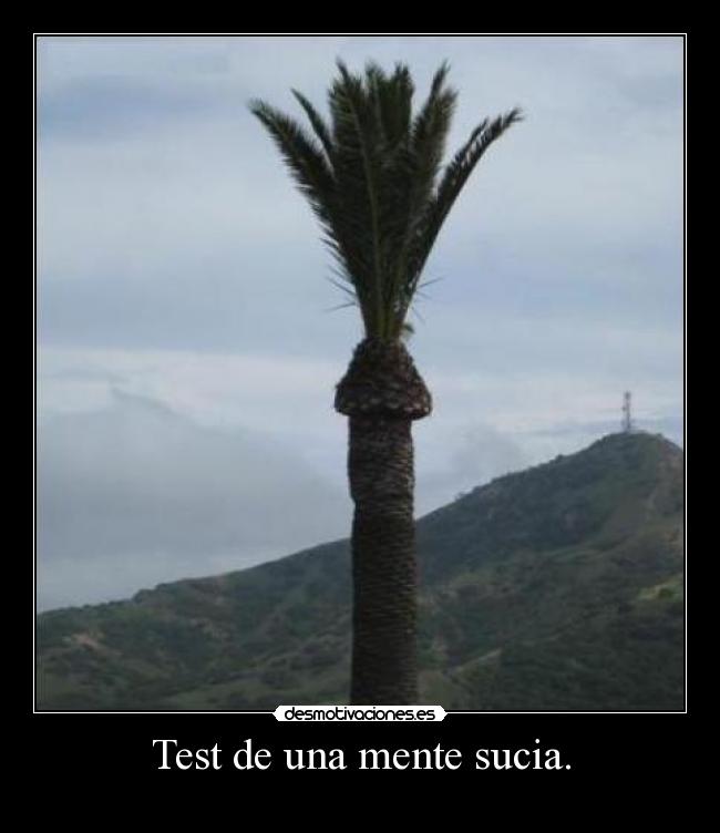 Test de una mente sucia. -