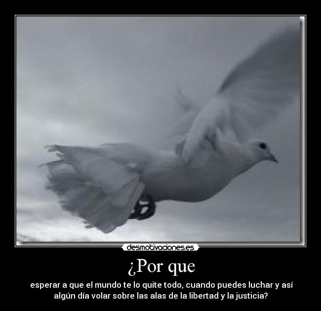 ¿Por que - esperar a que el mundo te lo quite todo, cuando puedes luchar y así
algún día volar sobre las alas de la libertad y la justicia?
