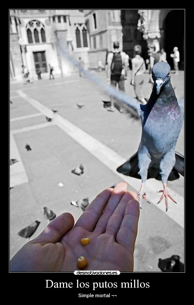 Dame los putos millos - Simple mortal ¬¬