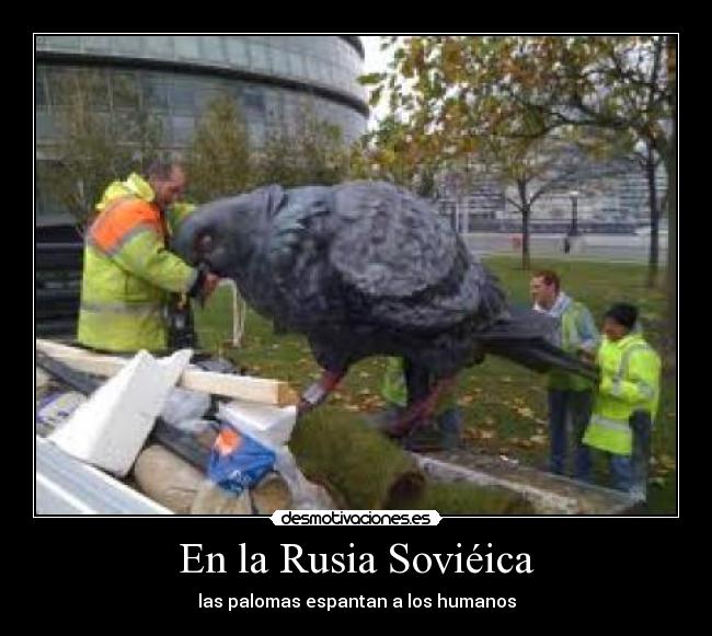 En la Rusia Soviéica - las palomas espantan a los humanos