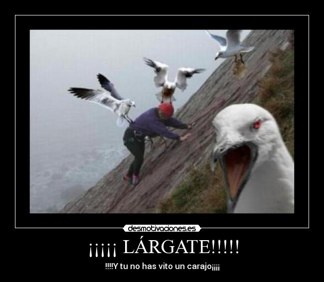 ¡¡¡¡¡ LÁRGATE!!!!! - !!!!Y tu no has vito un carajo¡¡¡¡