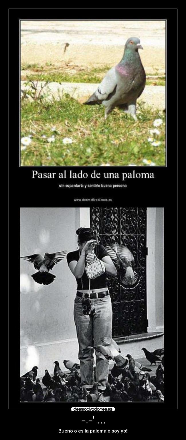 -.- ... - Bueno o es la paloma o soy yo!!