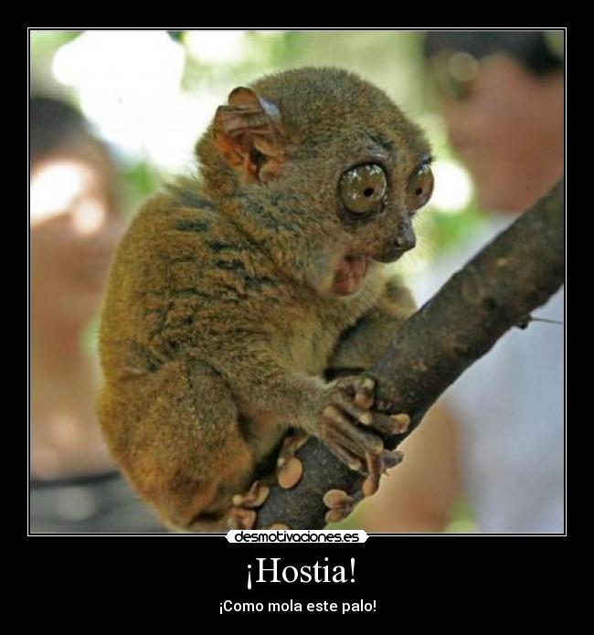 ¡Hostia! - ¡Como mola este palo!