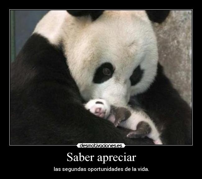 Saber apreciar -
