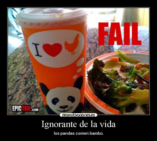 Ignorante de la vida -