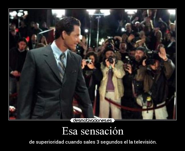 carteles lih desmotivaciones