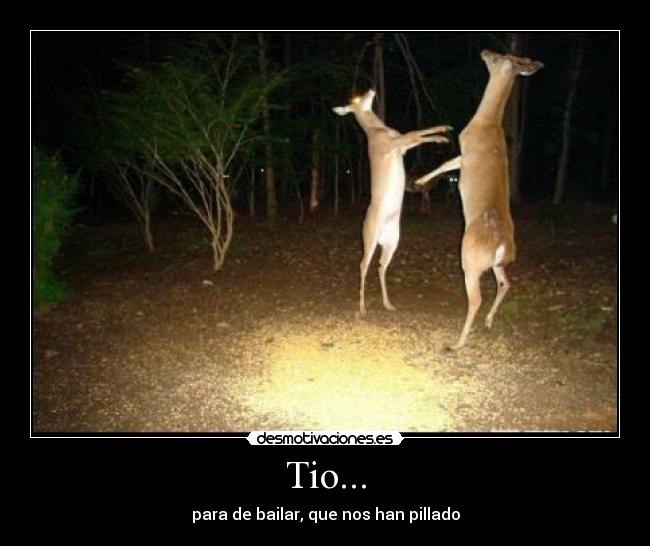 Tio... - para de bailar, que nos han pillado