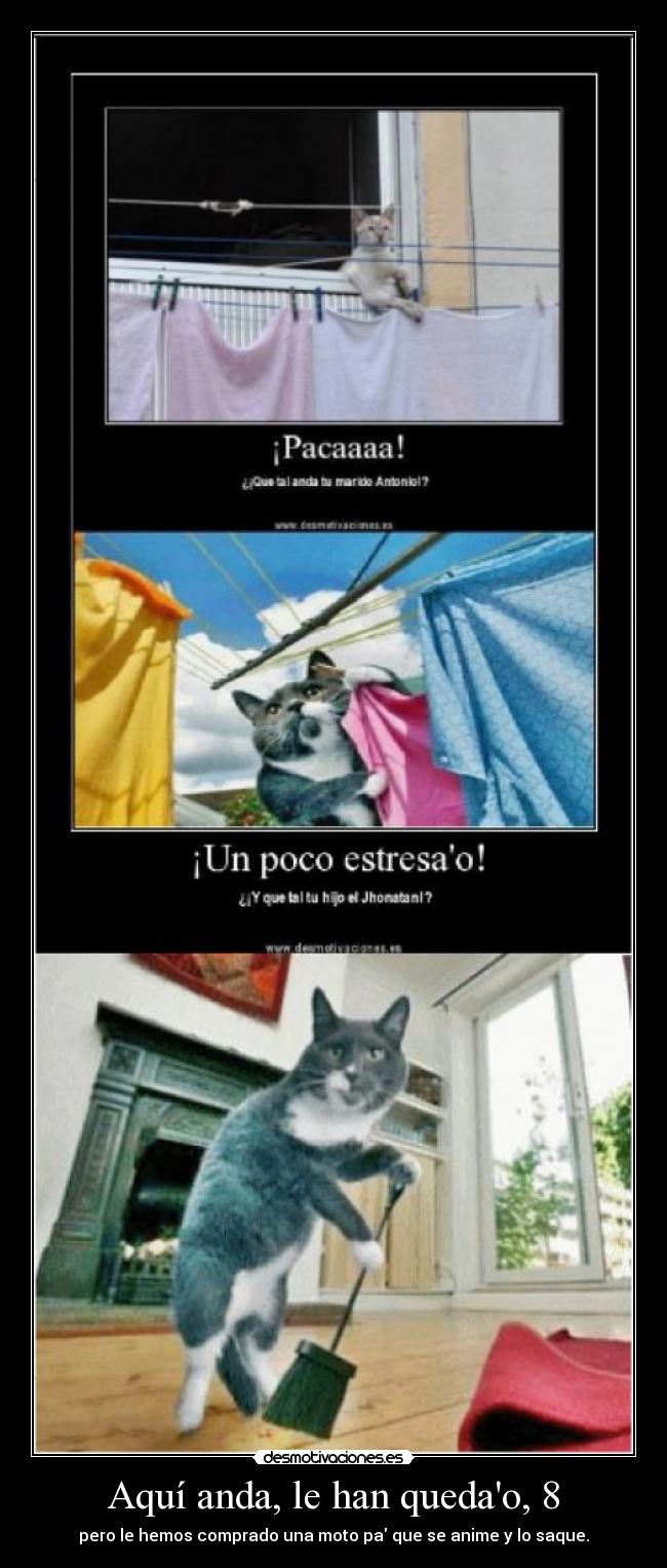 Aquí anda, le han quedao, 8 -