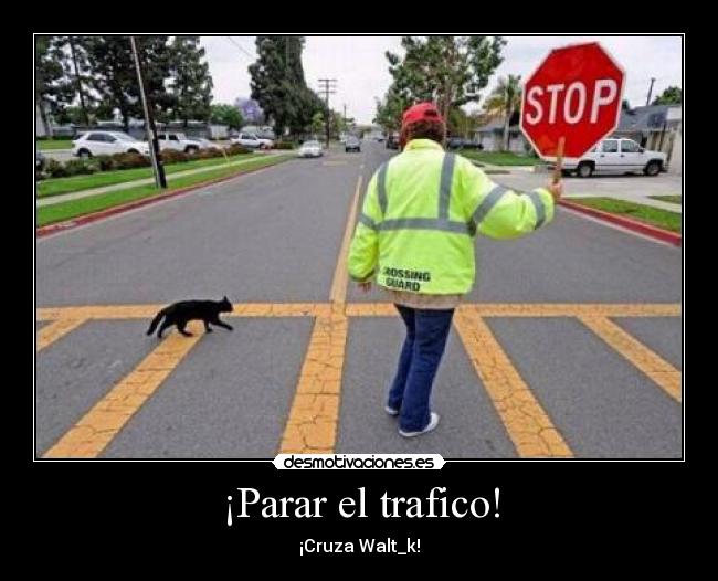 carteles wwwdesmotivacioneses desmotivaciones