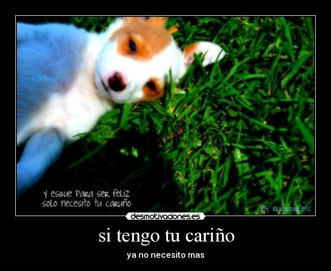 si tengo tu cariño - ya no necesito mas
