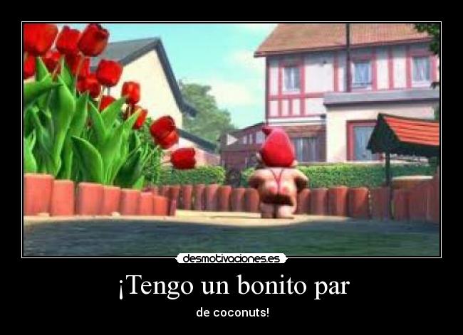 ¡Tengo un bonito par - de coconuts!