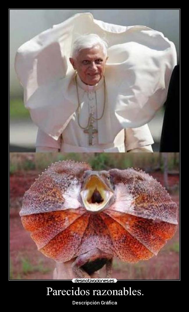 Parecidos razonables. - 