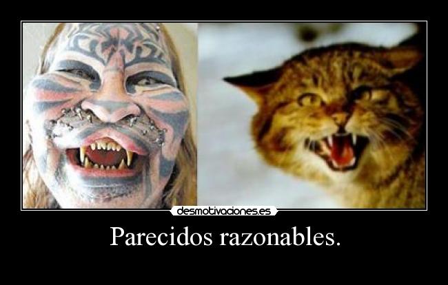 Parecidos razonables. -