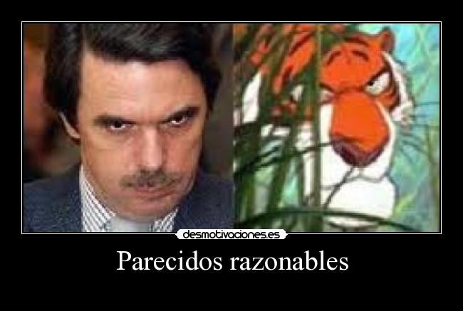 Parecidos razonables - 