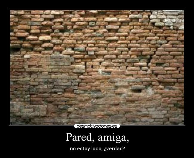 Pared, amiga, - no estoy loco, ¿verdad?