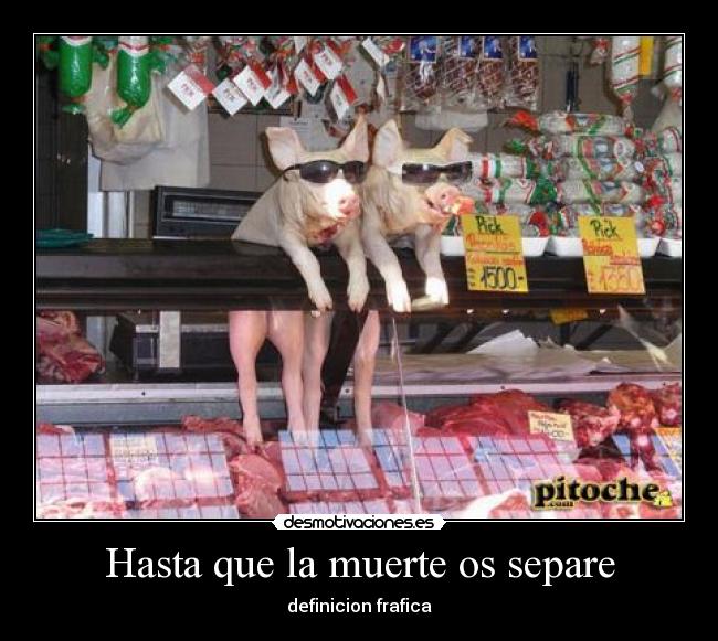 Hasta que la muerte os separe - definicion frafica