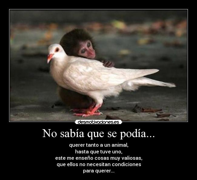 No sabía que se podía... -