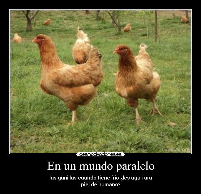 En un mundo paralelo - las ganillas cuando tiene frio ¿les agarrara
piel de humano?