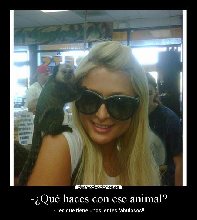 -¿Qué haces con ese animal? -