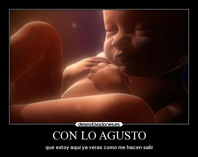 CON LO AGUSTO - 