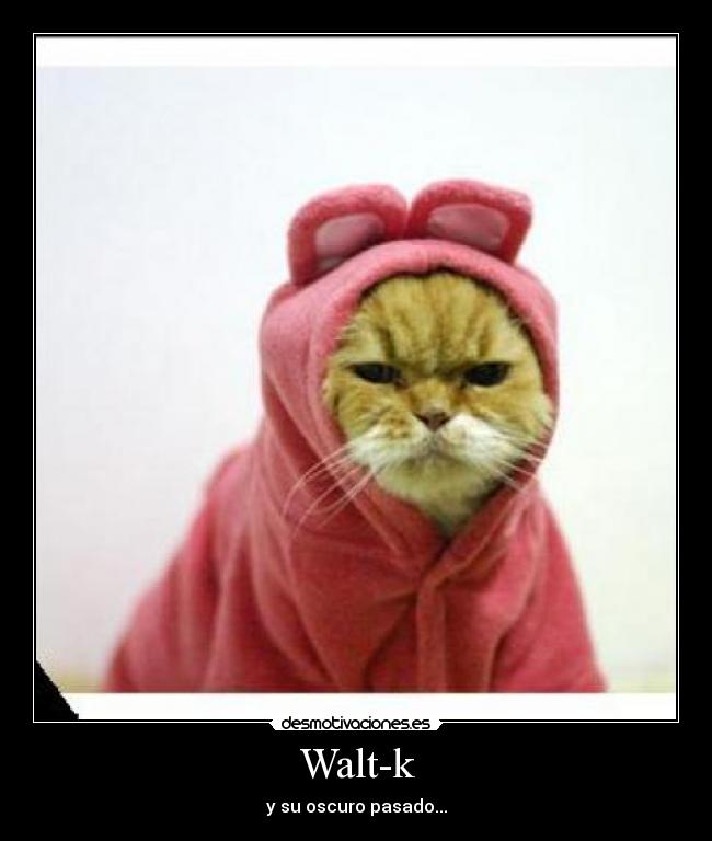 Walt-k -
