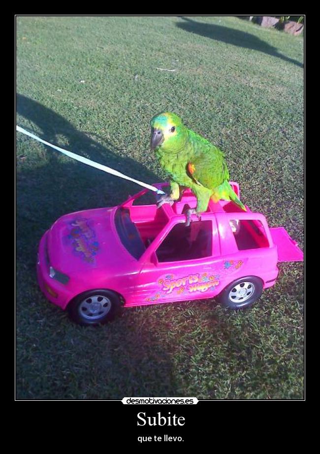 carteles saby desmotivaciones