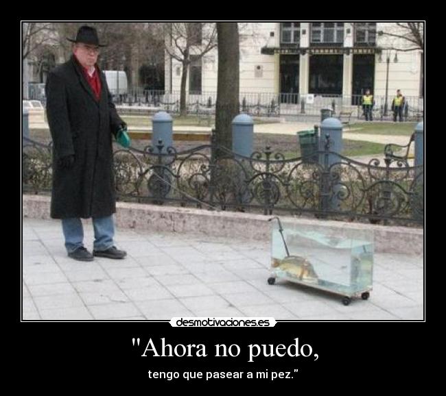 Ahora no puedo, - 