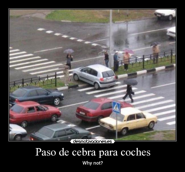 Paso de cebra para coches - Why not?