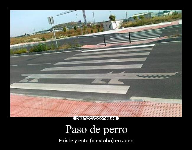 Paso de perro - 