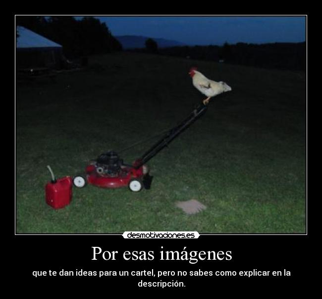 Por esas imágenes - que te dan ideas para un cartel, pero no sabes como explicar en la descripción.