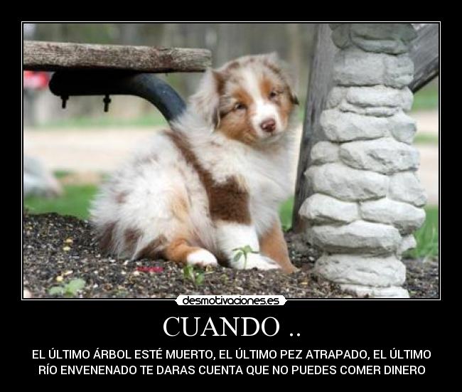 CUANDO .. - EL ÚLTIMO ÁRBOL ESTÉ MUERTO, EL ÚLTIMO PEZ ATRAPADO, EL ÚLTIMO
RÍO ENVENENADO TE DARAS CUENTA QUE NO PUEDES COMER DINERO