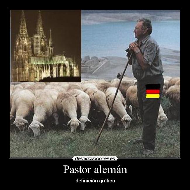 Pastor alemán - definición gráfica