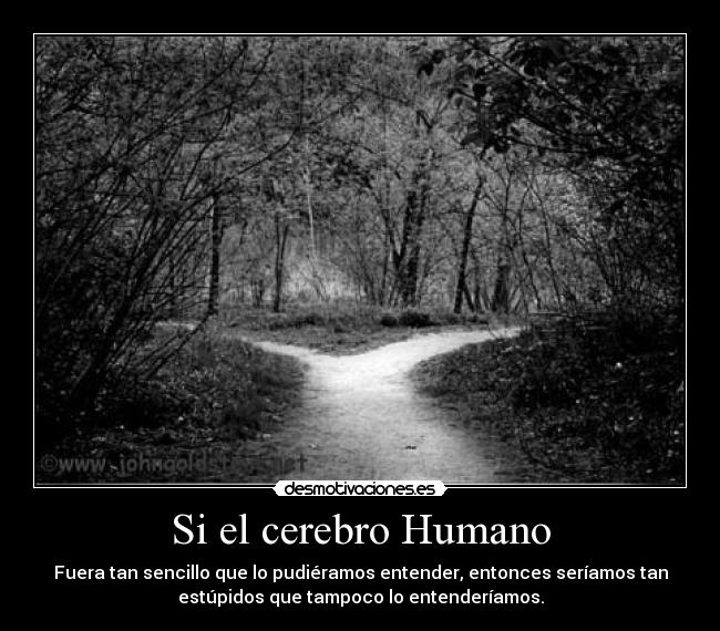 Si el cerebro Humano - 