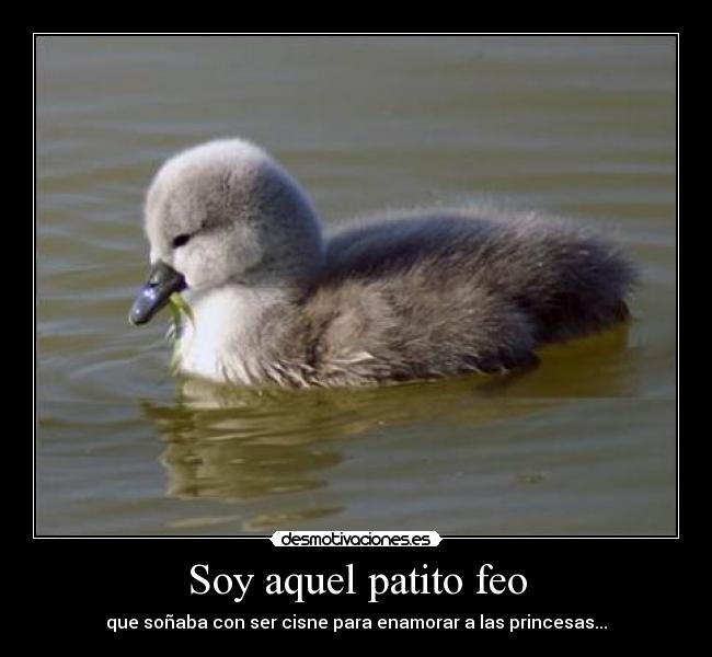 Soy aquel patito feo - 