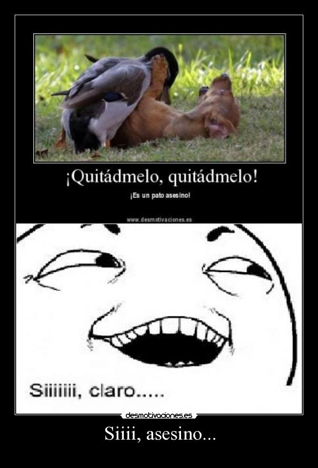 Siiii, asesino... -