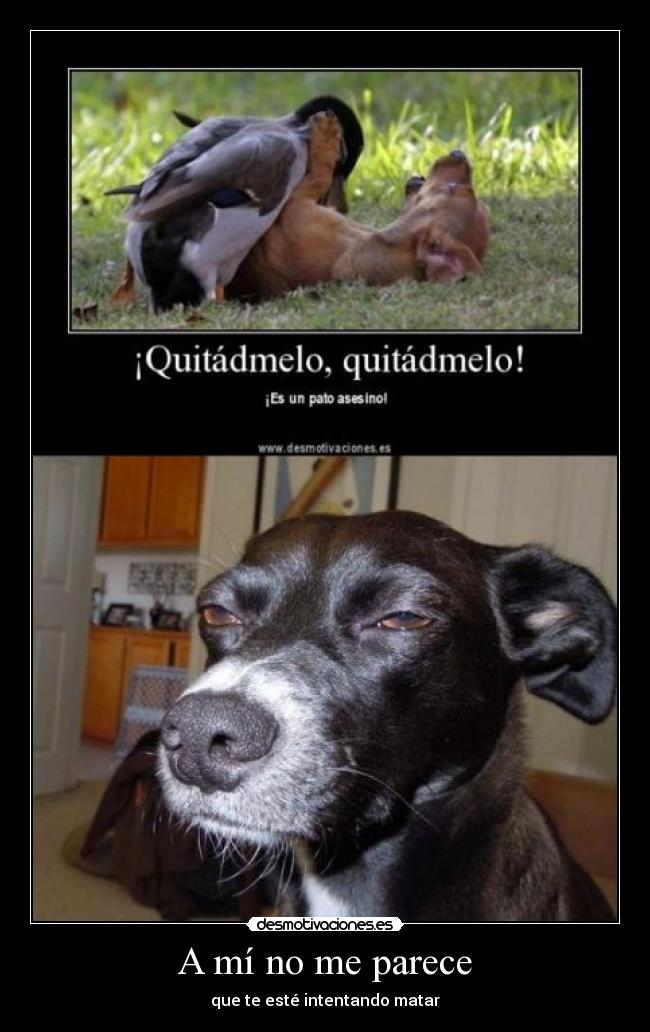 A mí no me parece -