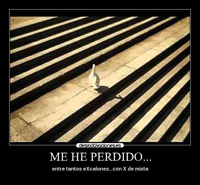 carteles topy desmotivaciones