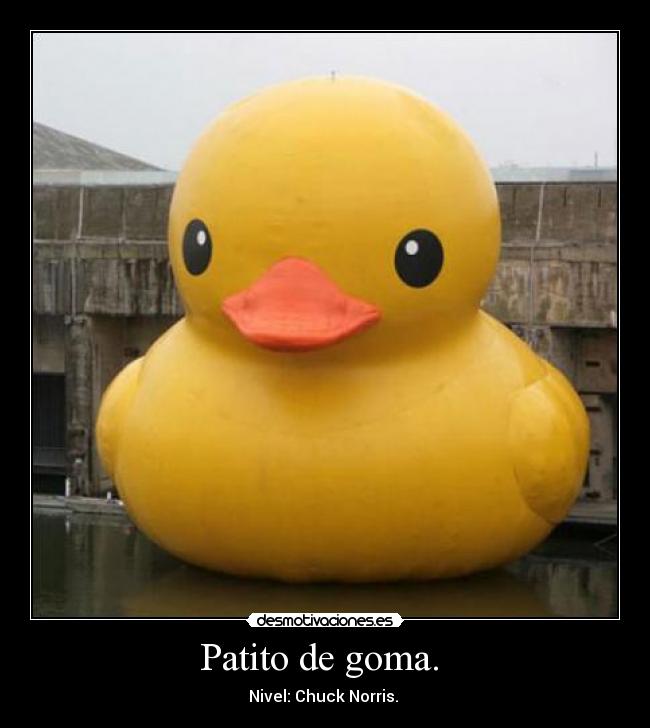 Patito de goma.  - 