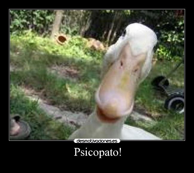 Psicopato! - 