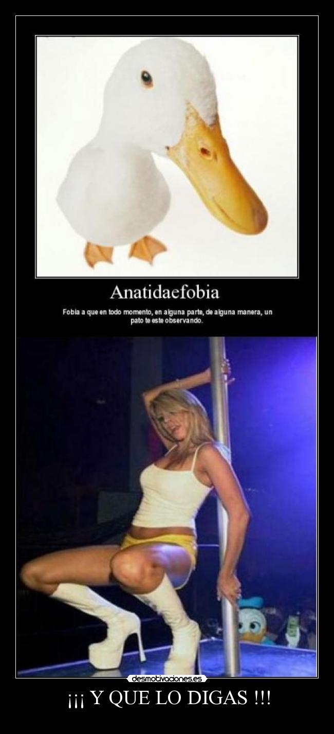 ¡¡¡ Y QUE LO DIGAS !!! -