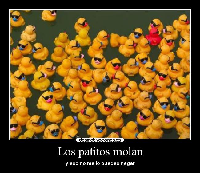 carteles tifani9 chocovarro desmotivaciones