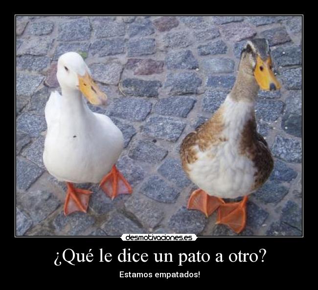 ¿Qué le dice un pato a otro? -