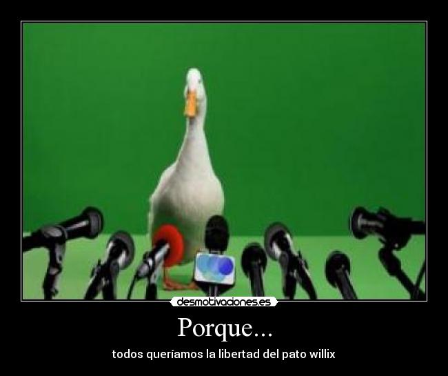 Porque... - todos queríamos la libertad del pato willix