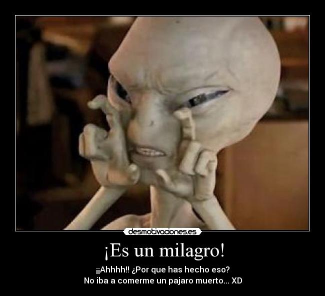 ¡Es un milagro! -