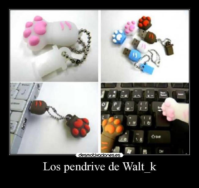 Los pendrive de Walt_k -